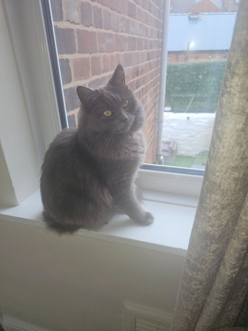 Female one year old