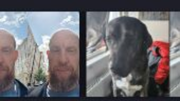 Reliable Dog Walker