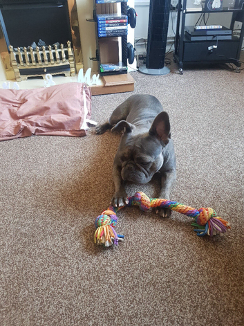 bonnie