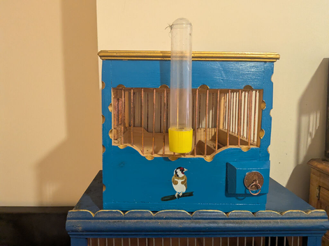 Goldfinch mule cages and 2 cock birds