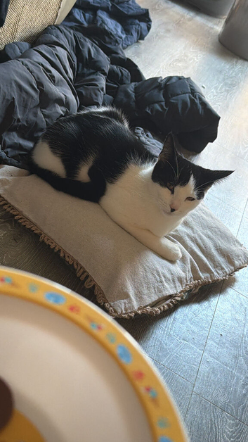 Dave and arlo