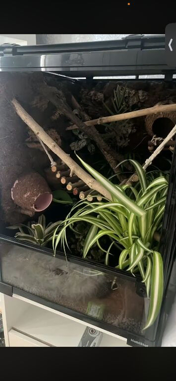 Fully bioactive tank