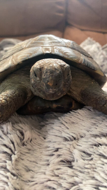 Lovely 20yr Mediterranean male