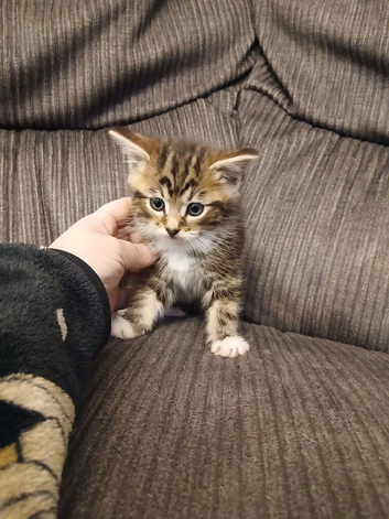 Beautiful cross boy