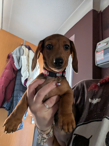 Do you have room for me?