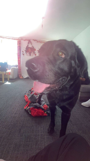 Max