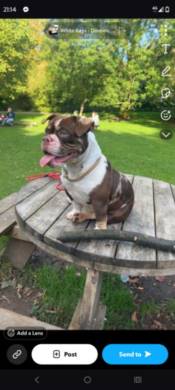 Micro pocket bulley