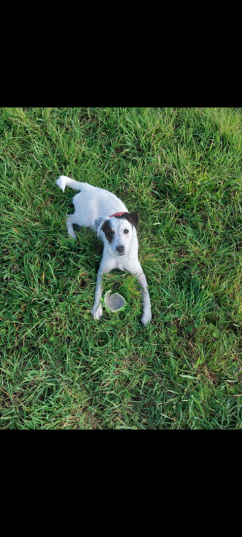 6 months old girl
