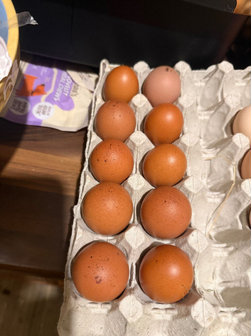 Hatching eggs