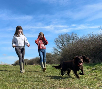 Maya & Friends... fun-filled walks for your dog, peace of mind for you!