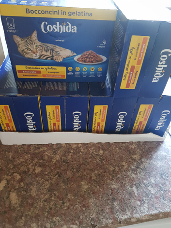 6 boxes Cashida cat food