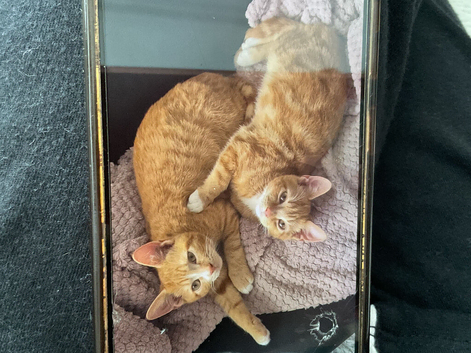 Two brothers left