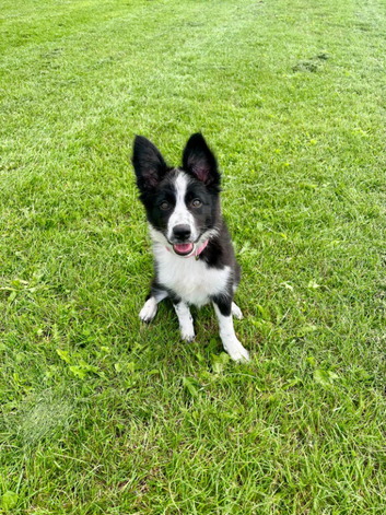 5 month old girl