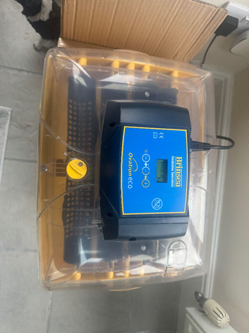 Brinsea Ovation Eco 28 Egger