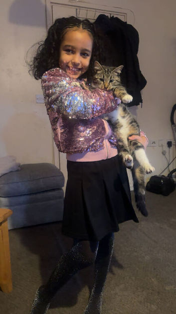 Kittens for sale