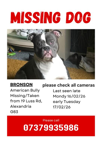 Missing/Stollen