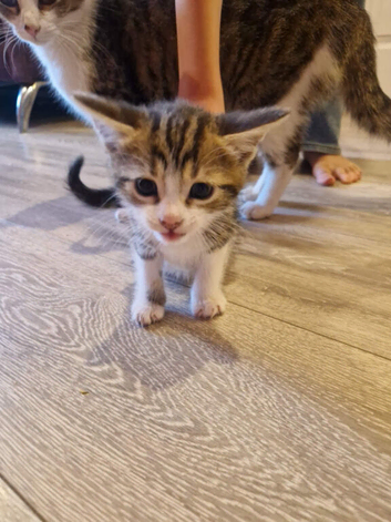 One Beautiful little boy left