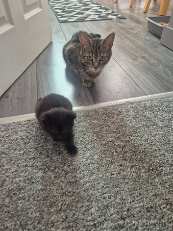 Mother and daughter