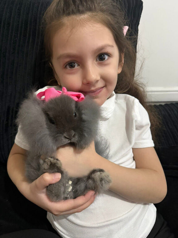 Bunny for sale