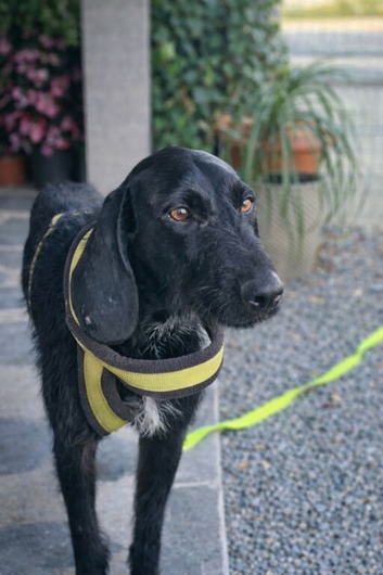 ARWEN &ndash; ONLY 13 MONTHS OLD&hellip; AND ALREADY SURVIVED HELL