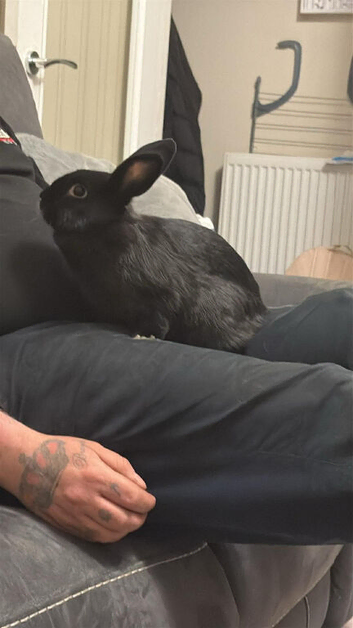 Black female