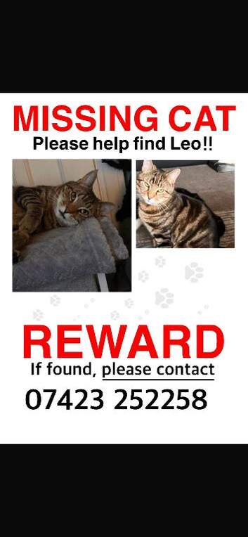 Missing