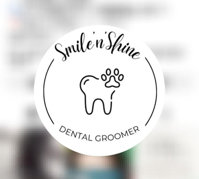Ultrasonic Dog Teeth cleaning service available
