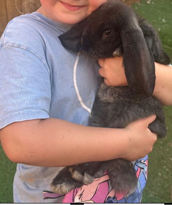 Proper French lops!