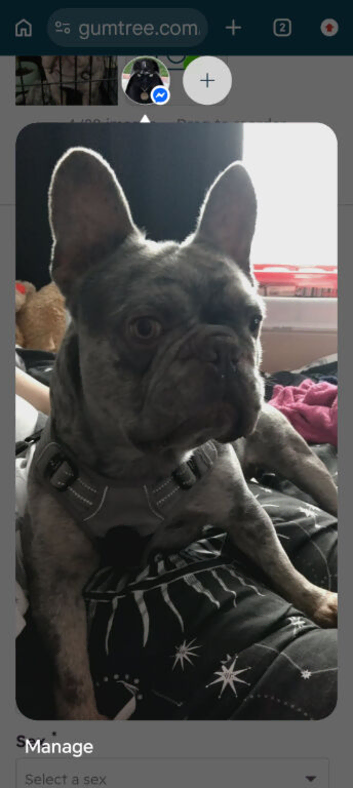 Handsome chap needs his own castle