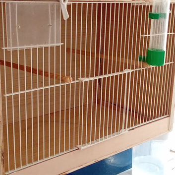 Breeding box with nest box and drinker for sale