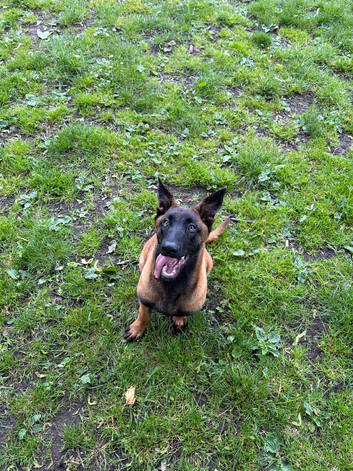 Beautiful boy cash