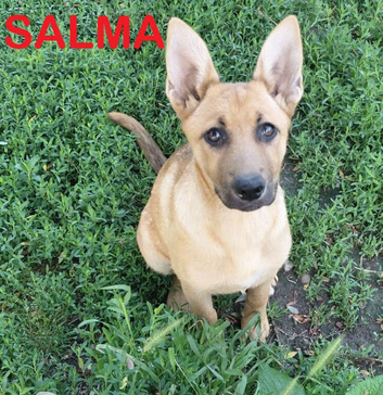 SALMA &ndash; The Gentle Little Princess with the Kindest Heart