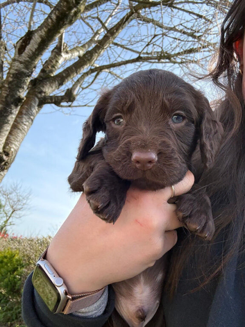 1 handsome little boy who needs a home