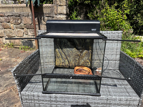 Exo Terra terrarium with compact top