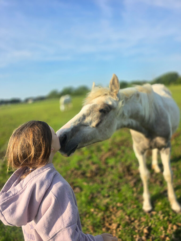 Beautiful yearling filly