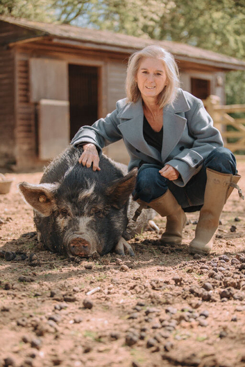 West Sussex &ndash; 2 Kune Kune sows (Delilah & Doris), 6 years old