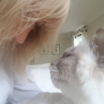 Reliable and trustworthy cat sitter (drop in service)