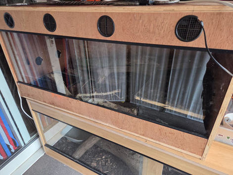 4x2x2 vivarium