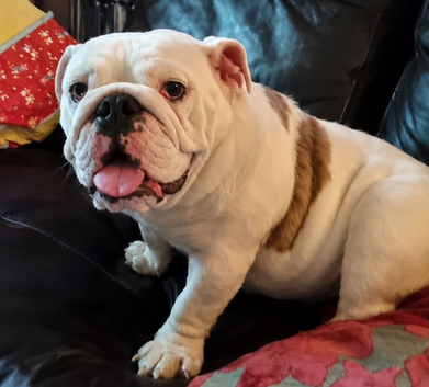 9 month old girl