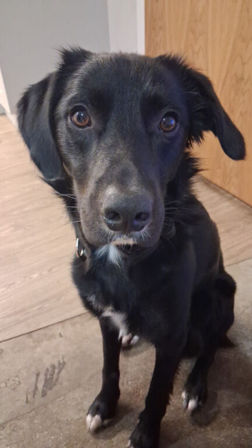 Hi