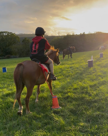Kind, Sensible & Genuine Young Pony &ndash; Fantastic First Ridden Potential