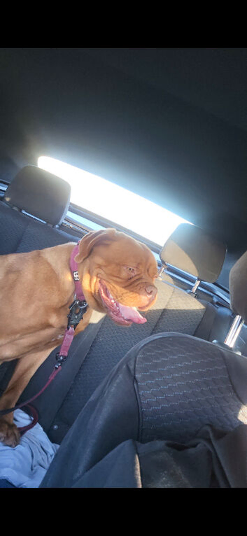 THIS IS WILLOW