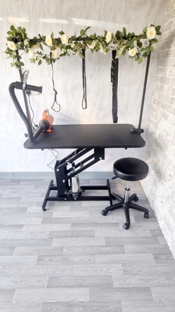 Doggy Styles Grooming Salon