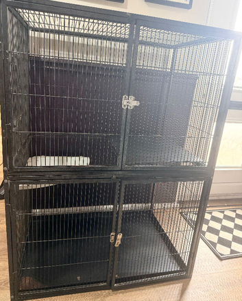 FREE Extra large rat cage