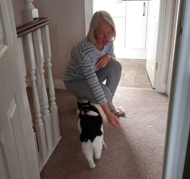 Cat Behaviourist