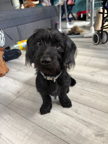 Charlie