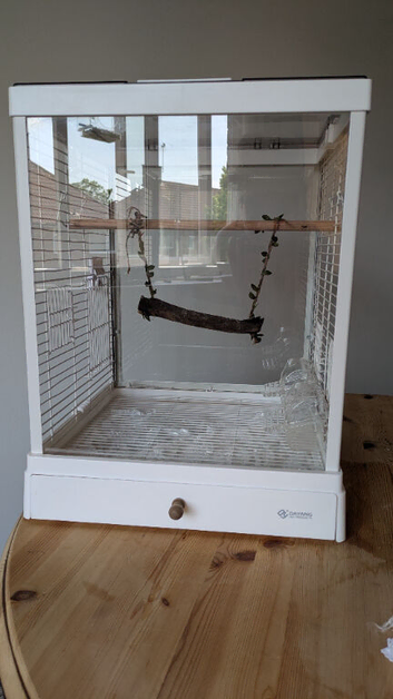 Small finch set up