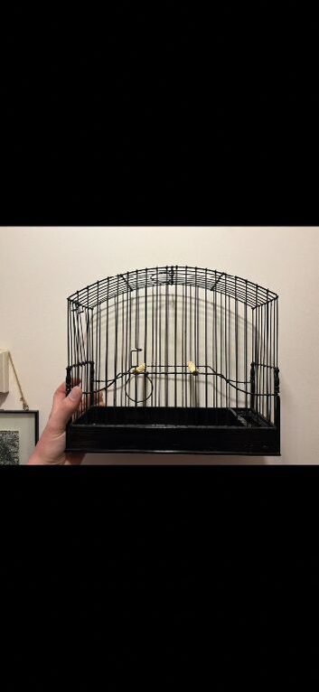 Show cages and carry bag