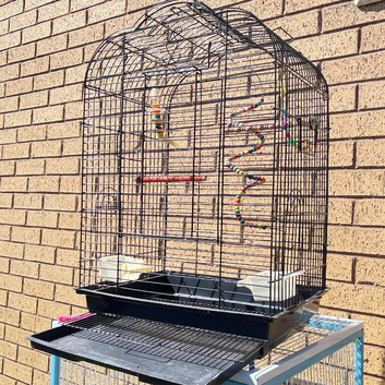 Black bird cage budgie used parrot cage used