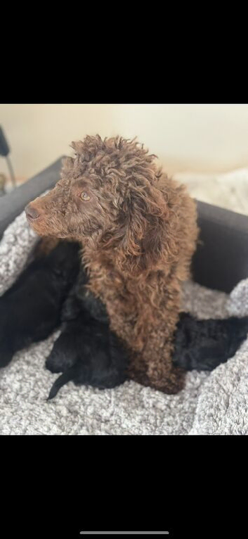 Beautiful little baby&rsquo;s